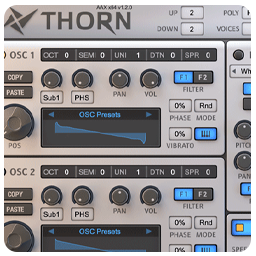 Логотип Dmitry Sches Thorn 1.3.2